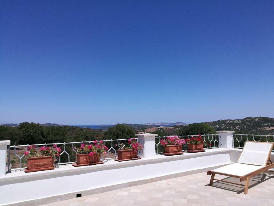 Appartamento L'Albero Magico Nella Campagna Gallurese Santa Teresa Gallura Zewnętrze zdjęcie