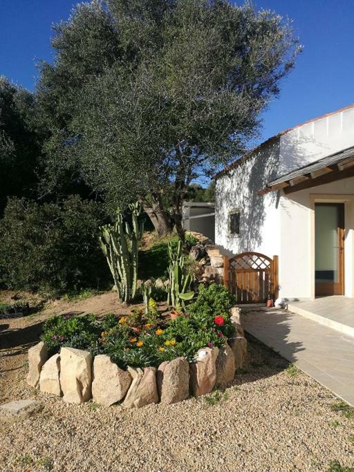 Appartamento L'Albero Magico Nella Campagna Gallurese Santa Teresa Gallura Zewnętrze zdjęcie